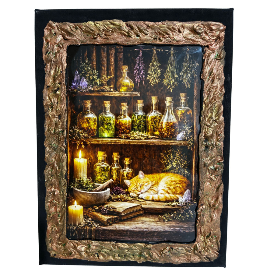 Cuadro estantería de alquimia con frascos de hierbas y gato dormido en lienzo decorado a mano