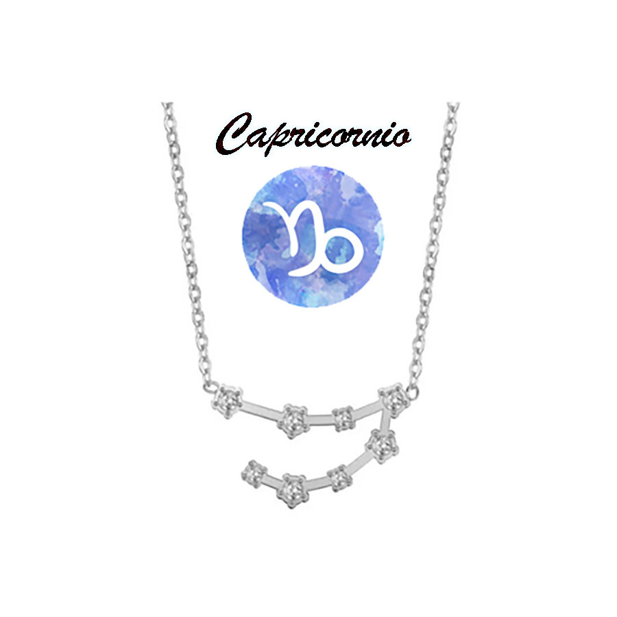 Collar horóscopo Capricornio en acero plateado